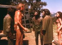 Planet of the Apes - 8 x 10 Color Photo #2