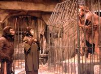 Planet of the Apes - 8 x 10 Color Photo #3