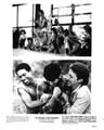 Playing for Keeps - 8 x 10 B&W Photo #4