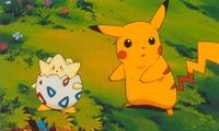 Pokemon: The First Movie - 8 x 10 Color Photo #7