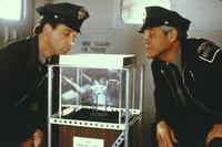 Police Academy 6: City under Siege - 8 x 10 Color Photo #10