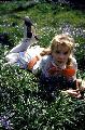 Pollyanna - 8 x 10 Color Photo #3