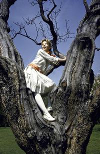 Pollyanna - 8 x 10 Color Photo #4