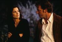 Practical Magic - 8 x 10 Color Photo #15