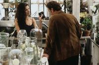 Practical Magic - 8 x 10 Color Photo #17