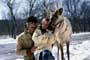 Prancer - 8 x 10 Color Photo #1