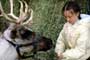 Prancer - 8 x 10 Color Photo #2