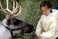 Prancer - 8 x 10 Color Photo #2
