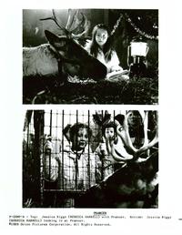 Prancer - 8 x 10 B&W Photo #2