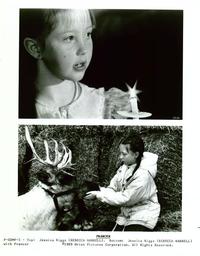 Prancer - 8 x 10 B&W Photo #3