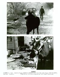 Prancer - 8 x 10 B&W Photo #4