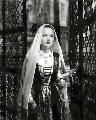 Prince of Foxes - 8 x 10 B&W Photo #1