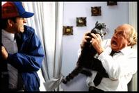 Problem Child - 8 x 10 Color Photo #2
