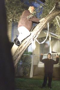 Providence - 8 x 10 Color Photo #46