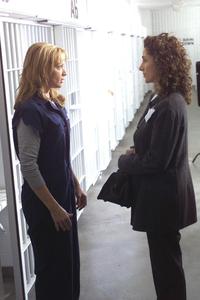 Providence - 8 x 10 Color Photo #61