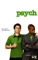 Psych - 11 x 17 TV Poster - Style D