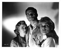 Psycho - 8 x 10 B&W Photo #2