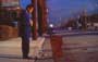 Punch-Drunk Love - 8 x 10 Color Photo #11