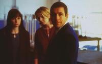 Punch-Drunk Love - 8 x 10 Color Photo #6