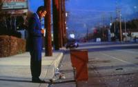 Punch-Drunk Love - 8 x 10 Color Photo #11