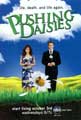 Pushing Daisies (TV) - 27 x 40 TV Poster - Style L