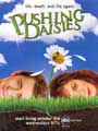 Pushing Daisies (TV) - 27 x 40 TV Poster - Style J