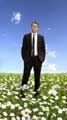 Pushing Daisies (TV) - 11 x 17 TV Poster - Style D
