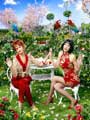 Pushing Daisies (TV) - 27 x 40 TV Poster - Style F