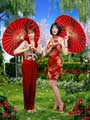 Pushing Daisies (TV) - 27 x 40 TV Poster - Style G