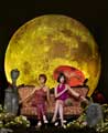 Pushing Daisies (TV) - 11 x 17 TV Poster - Style K
