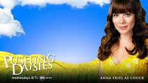 Pushing Daisies (TV) - 11 x 17 TV Poster - Style M