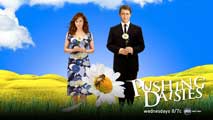 Pushing Daisies (TV) - 11 x 17 TV Poster - Style N