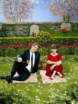 Pushing Daisies (TV) - 11 x 17 TV Poster - Style E