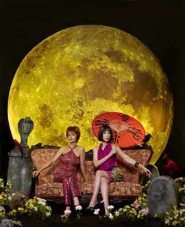 Pushing Daisies (TV) - 11 x 17 TV Poster - Style K