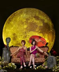 Pushing Daisies (TV) - 27 x 40 TV Poster - Style I
