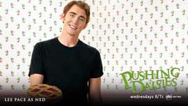 Pushing Daisies (TV) - 11 x 17 TV Poster - Style L
