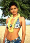 Race the Sun - 8 x 10 Color Photo #13