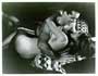 Racing Fever - 8 x 10 B&W Photo #29