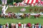 Racing Stripes - 8 x 10 Color Photo #10