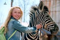 Racing Stripes - 8 x 10 Color Photo #1