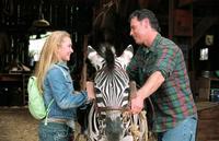Racing Stripes - 8 x 10 Color Photo #2