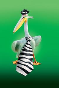 Racing Stripes - 8 x 10 Color Photo #23