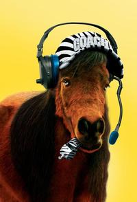 Racing Stripes - 8 x 10 Color Photo #24