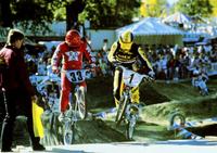 Rad - 8 x 10 Color Photo #8