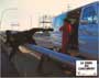 Rampage - 8 x 10 Color Photo #5