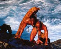 Rapa Nui - 8 x 10 Color Photo #11