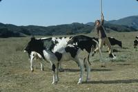 Rat Race - 8 x 10 Color Photo #14