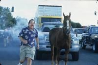Rat Race - 8 x 10 Color Photo #15