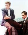 Rebel without a Cause - 8 x 10 Color Photo #3