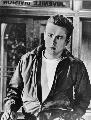 Rebel without a Cause - 8 x 10 B&W Photo #14